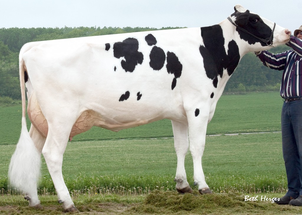 Bolton Crystal VG-87 Mother / Mutter / Mère / Madre of Seven P Red 2-01 365 2x 36'350 lbs. (16'523 kg) 1005 F 1133 P