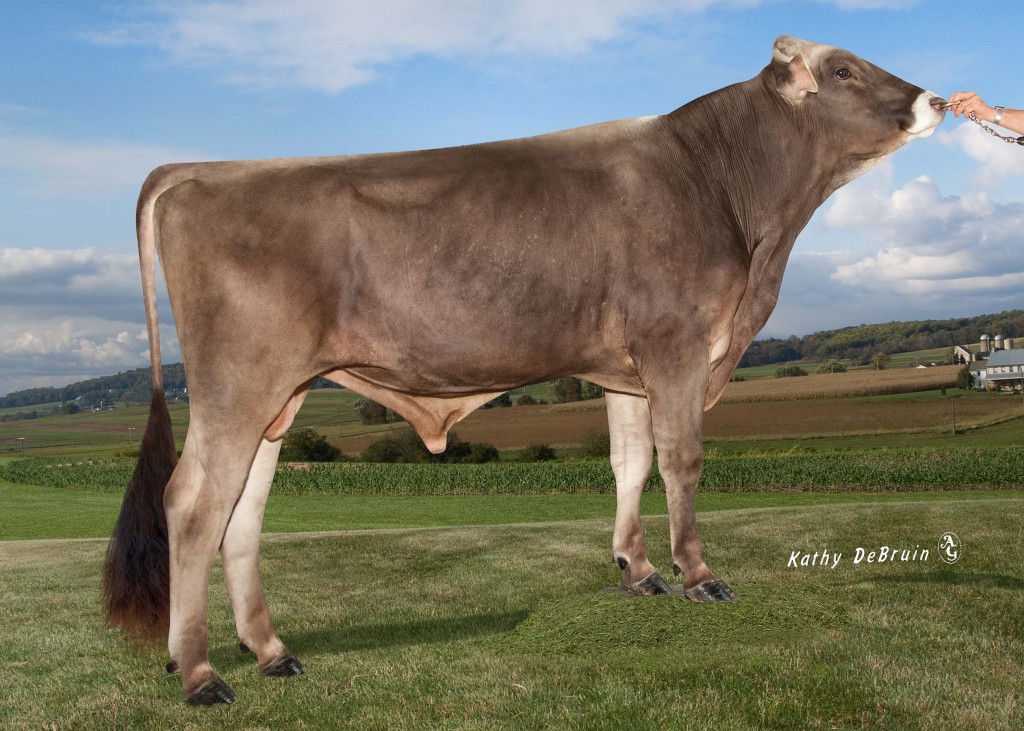 138BS5460 BAXTER AMBER RAE BROOKINGS BAXTER ET = RNR Payoff BROOKINGS ET x Amber Rae Puzzles DALLAS EX-91 x Sun-Made Garbro PUZZLE US: 68144695 Born / Geb. / Né / Nacido: 9/16/2012