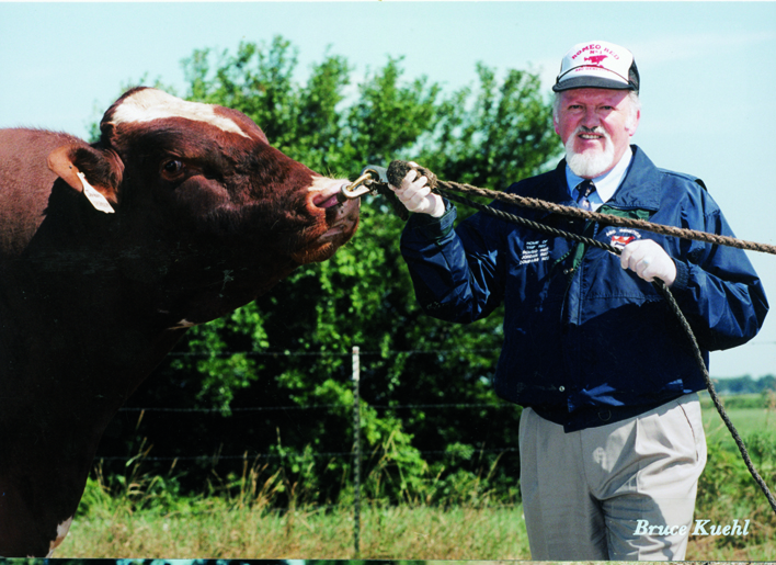 1997: April 16, Ja-Bob Jordan Red EX 90 was born! The bull Jordan was lucky to be born! Why? In 1996, Jean-Louis Schrago visited Ja-Bob farm in Eaton, Ohio. When he saw the cow Handmaid EX-91, he asked Mark Yeazel owner of the Ja-Bob farm to flush this cow with the bull: Phideaux RF (Blactar son). Mark Yeazel, after looking in his computer refused to use Phideaux on this cow because this bull was negative in milk. Finally, after discussion, Jean-Louis Schrago bought 10 embryos from Handmaid with Phideaux and Mark Yeazel accepted the deal. 3 months later, Handmaid produced only 3 embryos with not enough quality to be qualified for export. These 3 embryos were implanted at the Ja-Bob farm. All 3 embryos were fertile. 9 months later the first 2 embryos were females and by luck the last embryo was a red bull (his father was Red Factor). Ja-Bob Jordan Red was born.