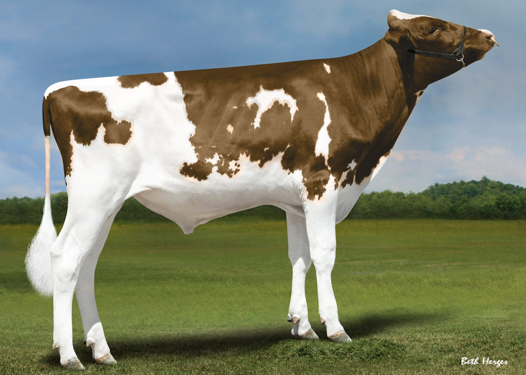 54HO0880 TANGOPRED ABC